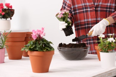 Photo of Transplanting houseplants. Woman with trowel, flowers and empty pots at white table indoors, closeup