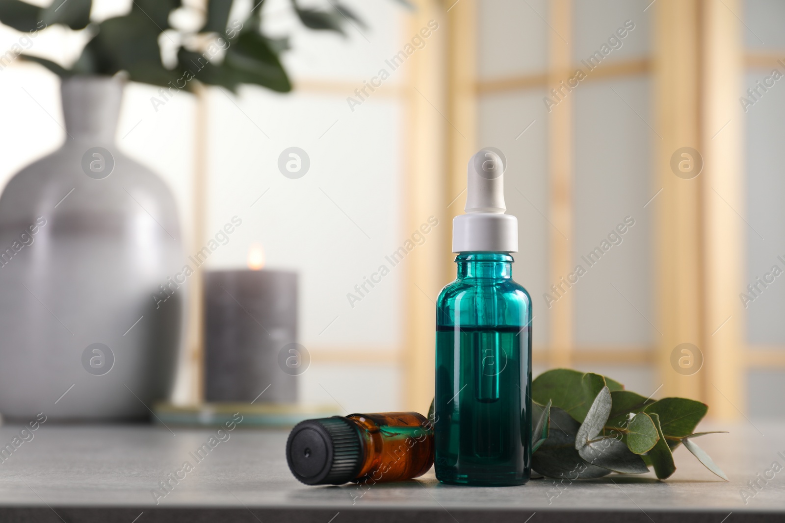 Photo of Aromatherapy. Bottles of essential oil and eucalyptus leaves on grey table, space for text