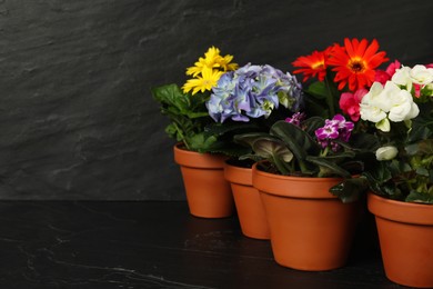 Photo of Different beautiful blooming plants in flower pots on dark grey stone table, space for text