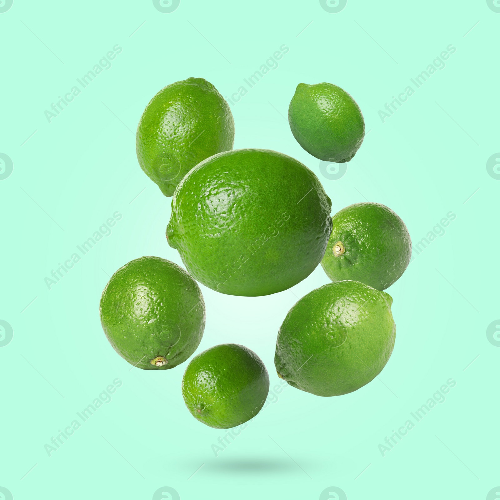 Image of Fresh lime fruits falling on aquamarine background