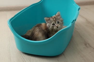 Photo of Cute fluffy kitten in litter box at home