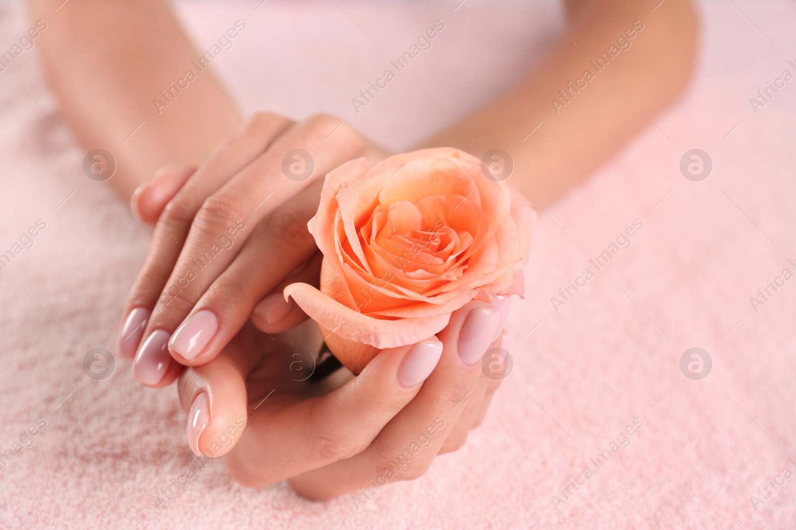 Photo of Closeup view of beautiful female hands with rose on towel, space for text. Spa treatment