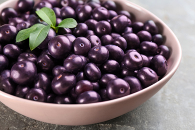 Tasty acai berries and green leaves in bowl on grey table, closeup