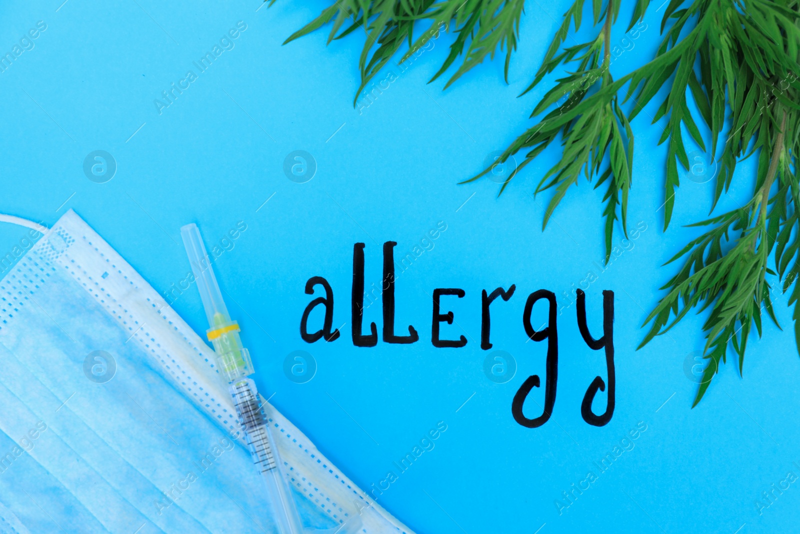 Photo of Ragweed (Ambrosia), word ALLERGY and medication on blue background, flat lay