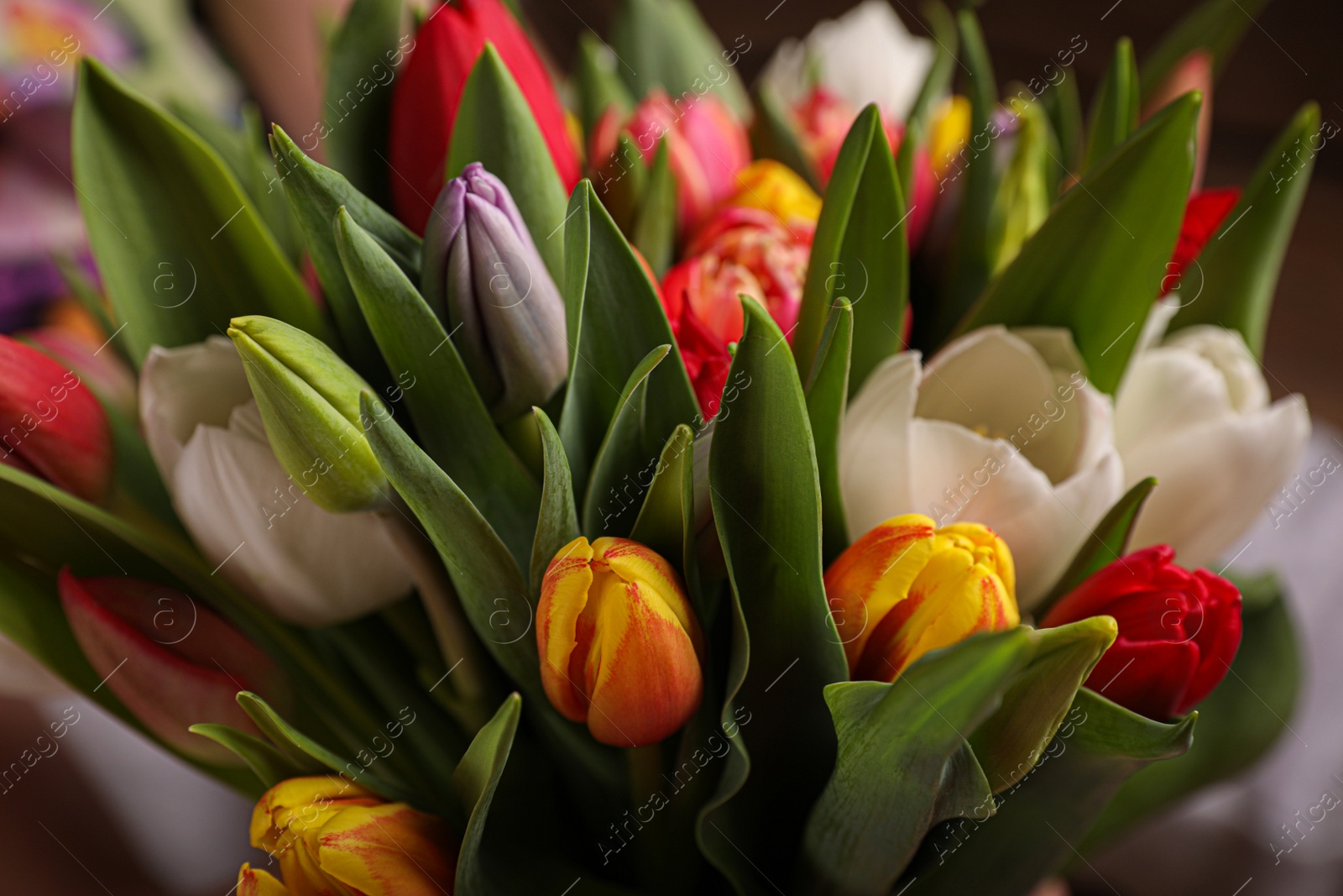 Photo of Beautiful bouquet of colorful tulip flowers, closeup