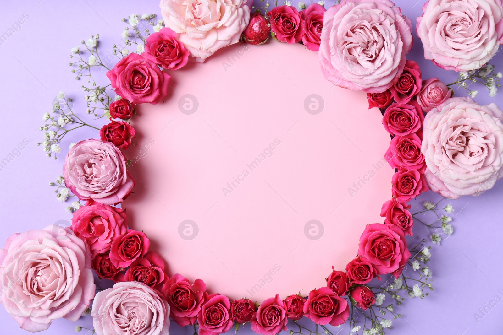 Photo of frame made with fresh flowers and blank card on color background, top view