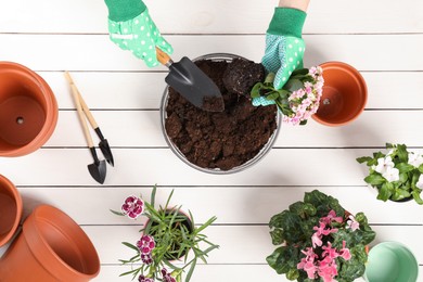 Photo of Transplanting houseplants. Woman with gardening tools, flowers and empty pots at white wooden table, top view