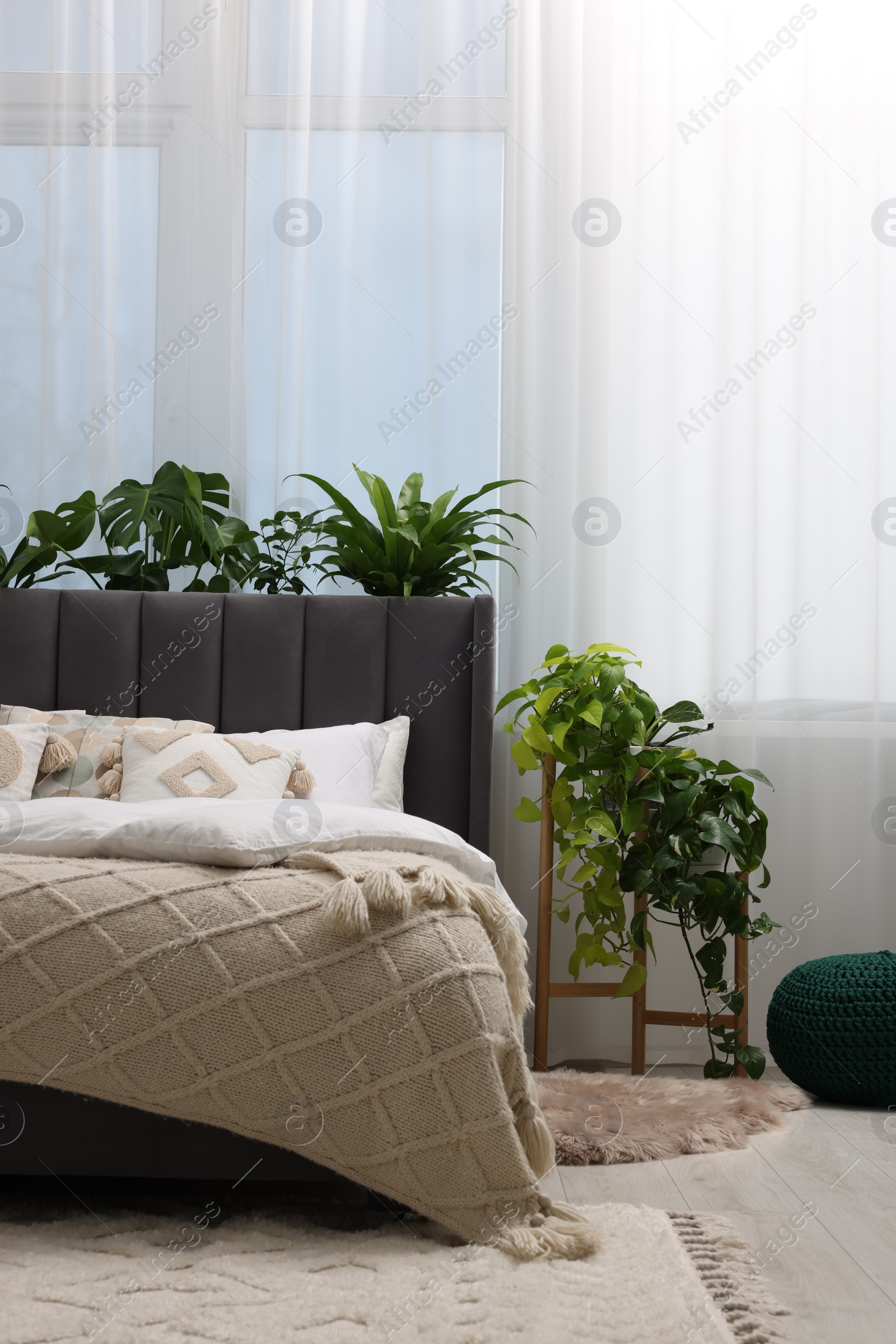 Photo of Comfortable bed and beautiful houseplants in bedroom. Interior design