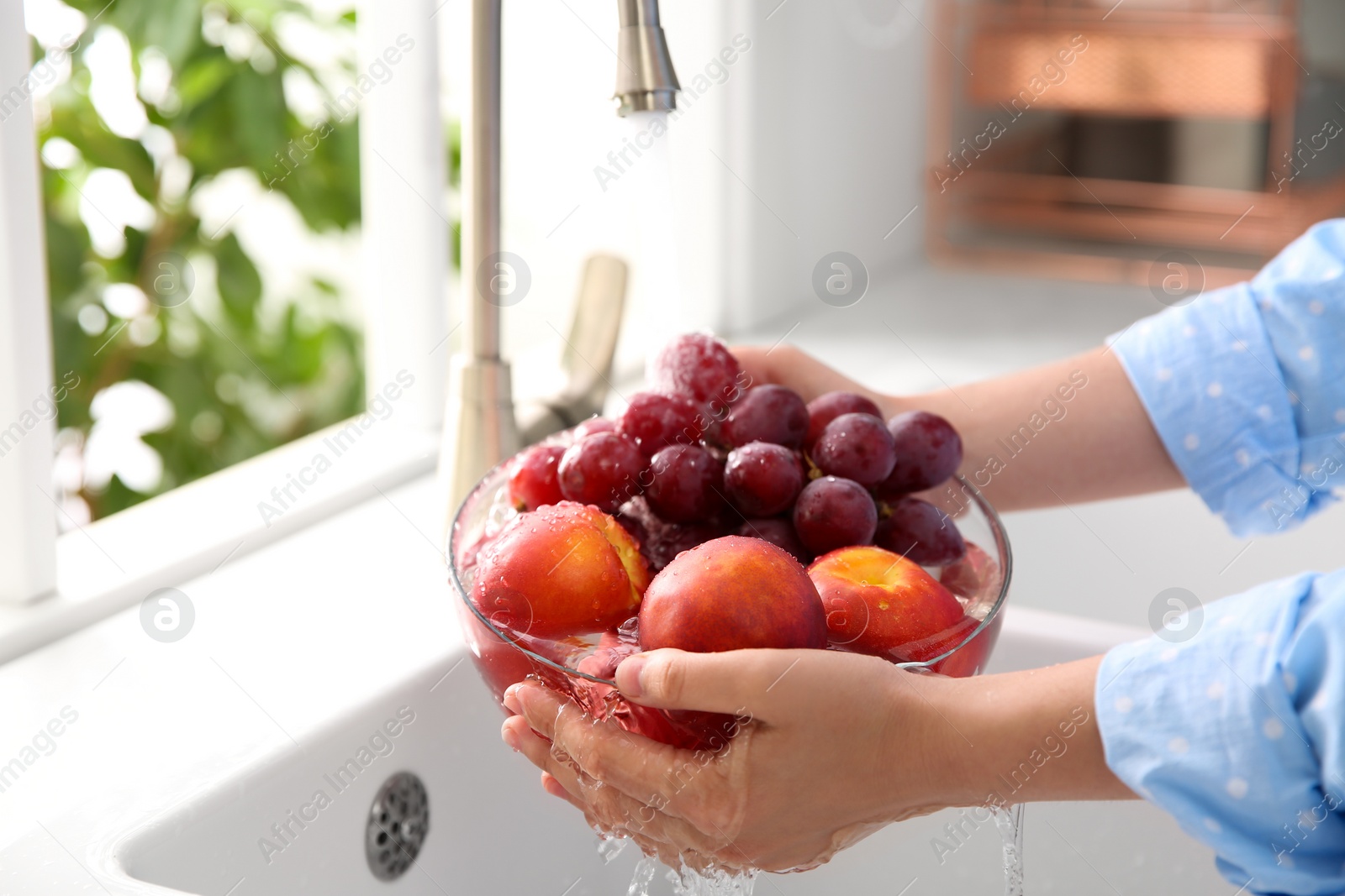 Photo of Woman washing fresh grapes and nectarines in kitchen sink, closeup