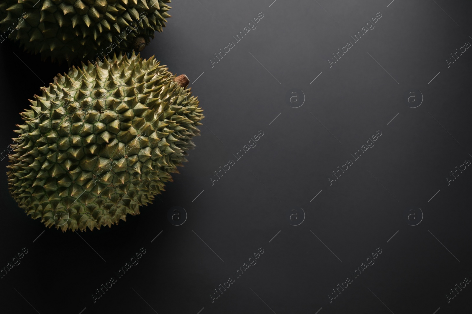 Photo of Fresh ripe durians on black background, flat lay. Space for text