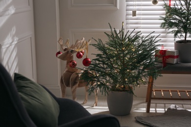 Beautiful room interior decorated with potted firs