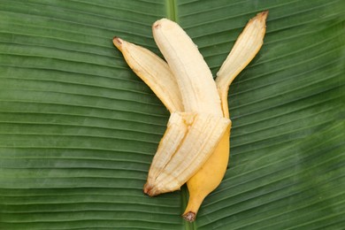 Photo of One delicious banana on fresh green leaf, top view