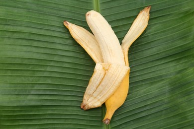 One delicious banana on fresh green leaf, top view