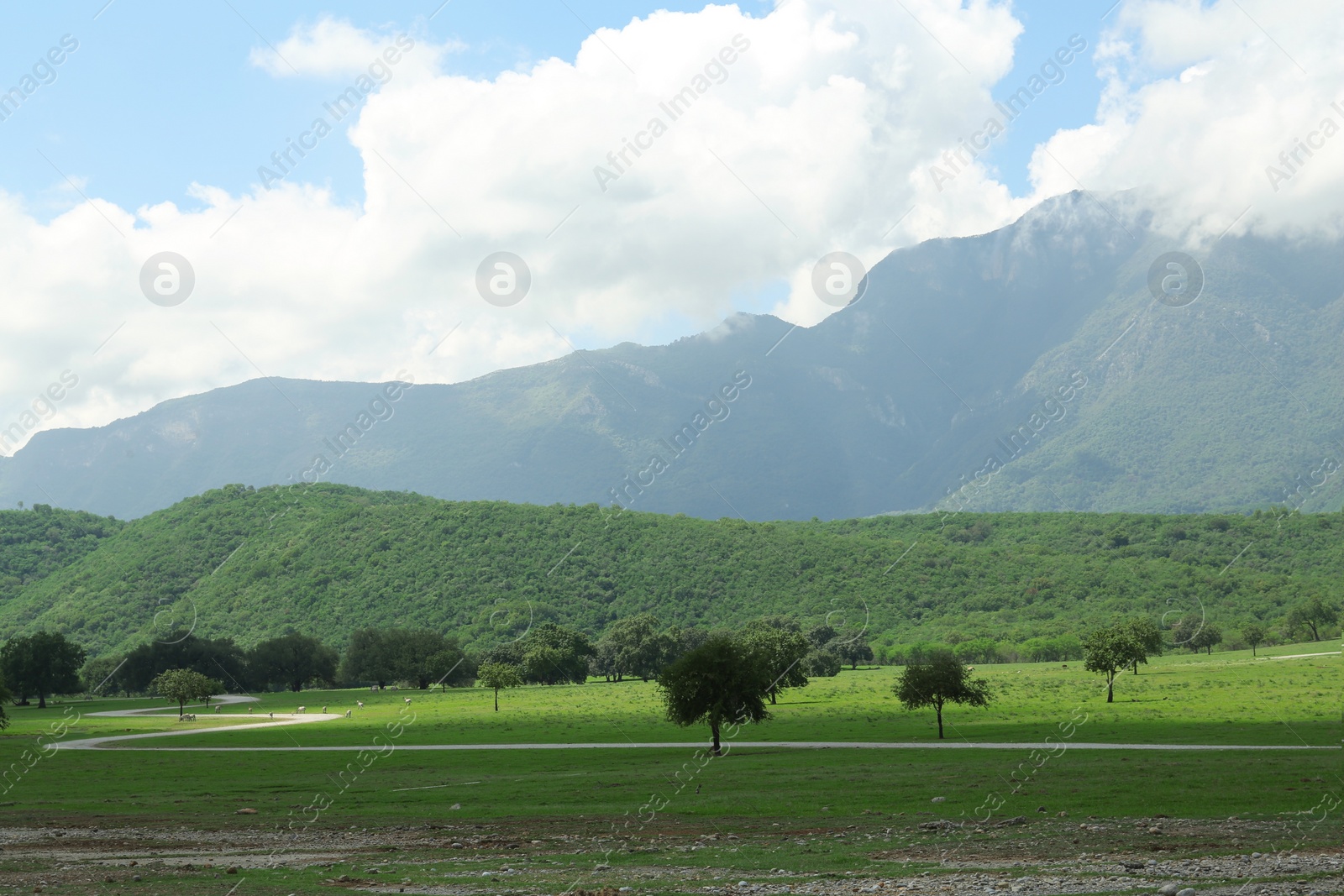 Photo of Picturesque view of mountains and green meadow