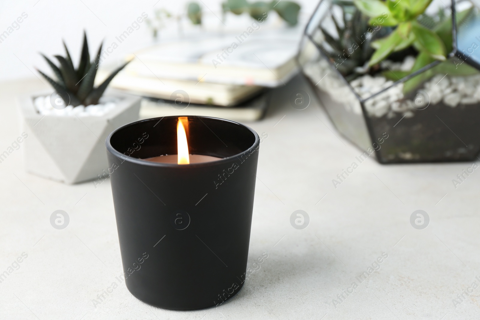 Photo of Burning candle and plants on white table, space for text