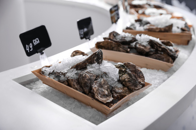 Photo of Fresh oysters with ice on display. Wholesale market