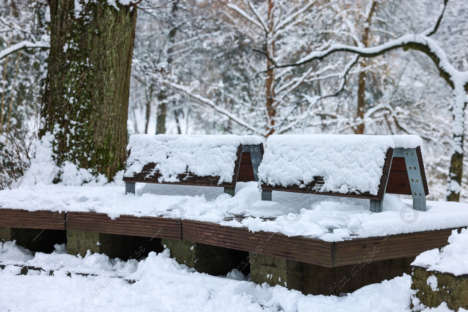 Photo of Benches covered with snow and trees in winter park