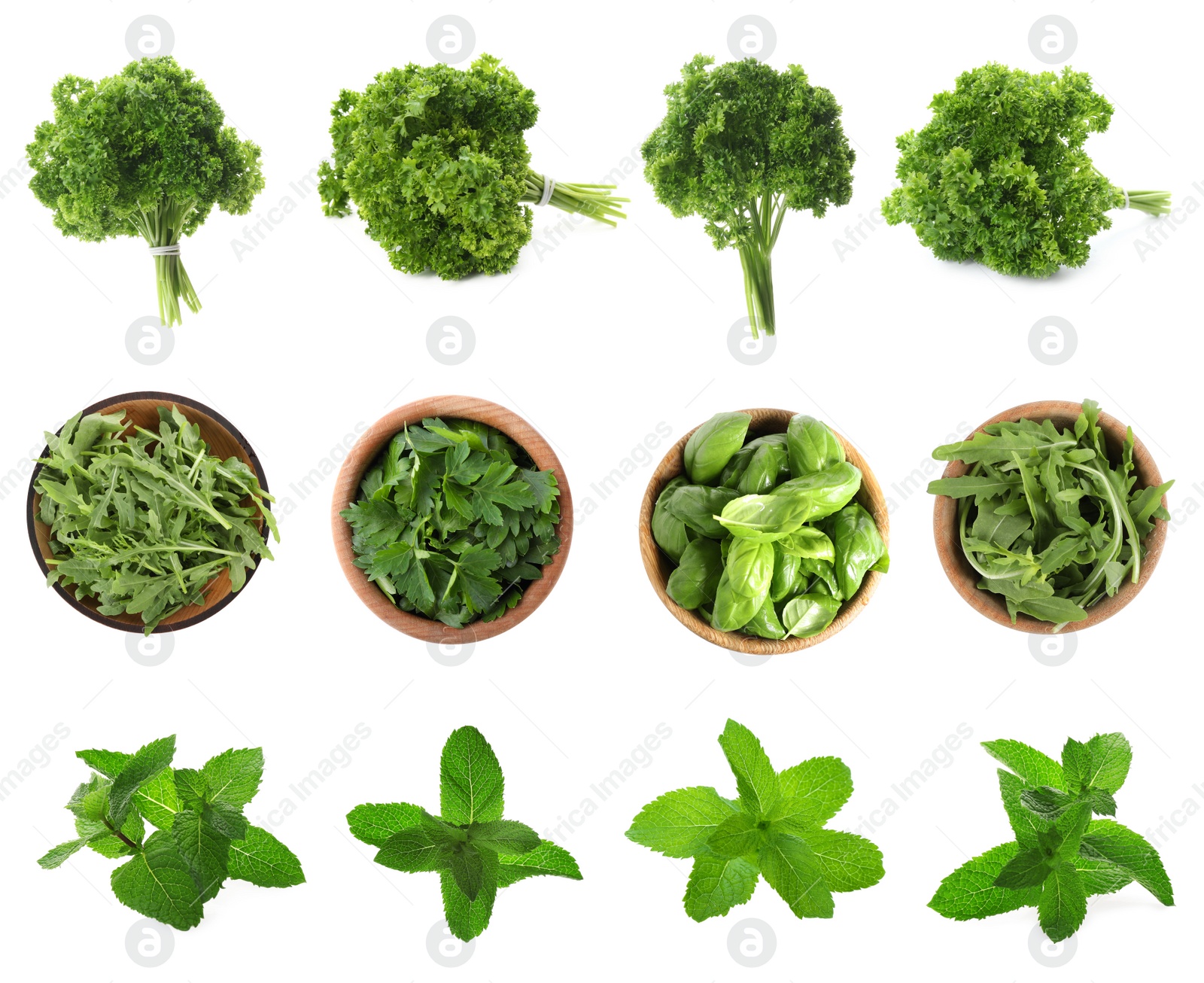 Image of Set with different herbs on white background