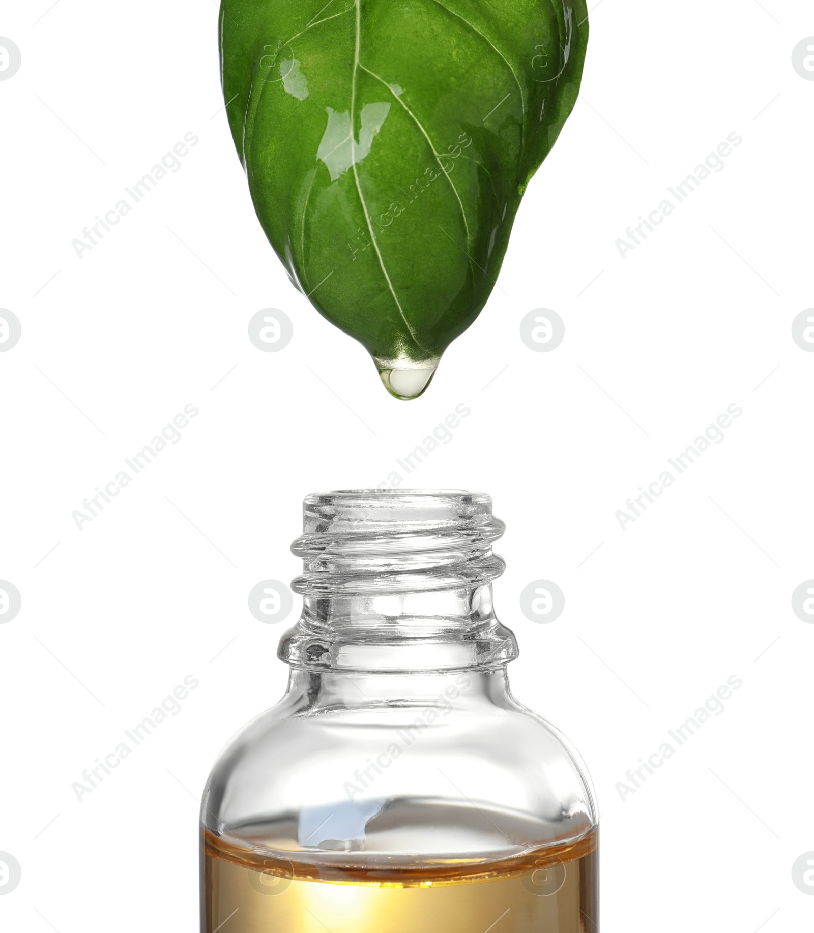 Photo of Basil leaf with drop of essential oil over bottle against white background