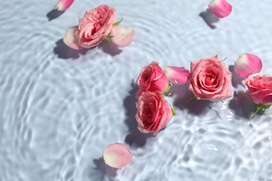 Photo of Beautiful roses and petals in water on light blue background, top view