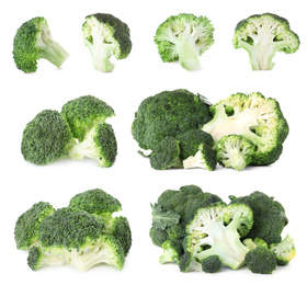 Image of Set of fresh green broccoli on white background