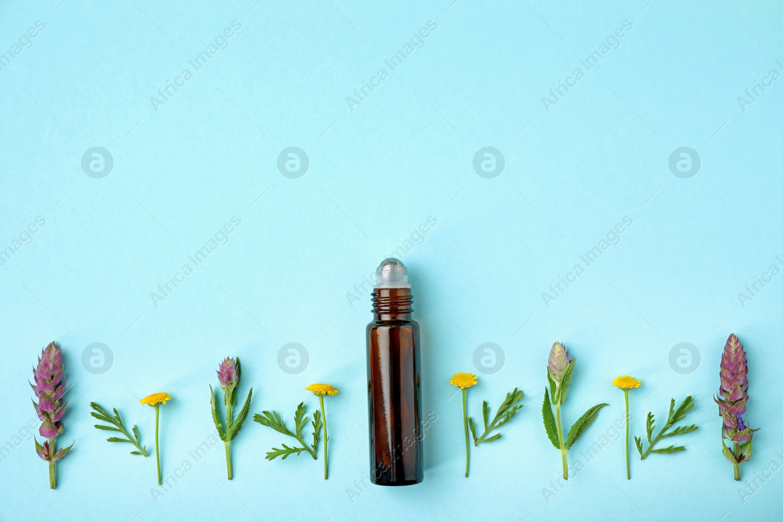 Photo of Bottle of essential oil and wildflowers on color background, flat lay. Space for text