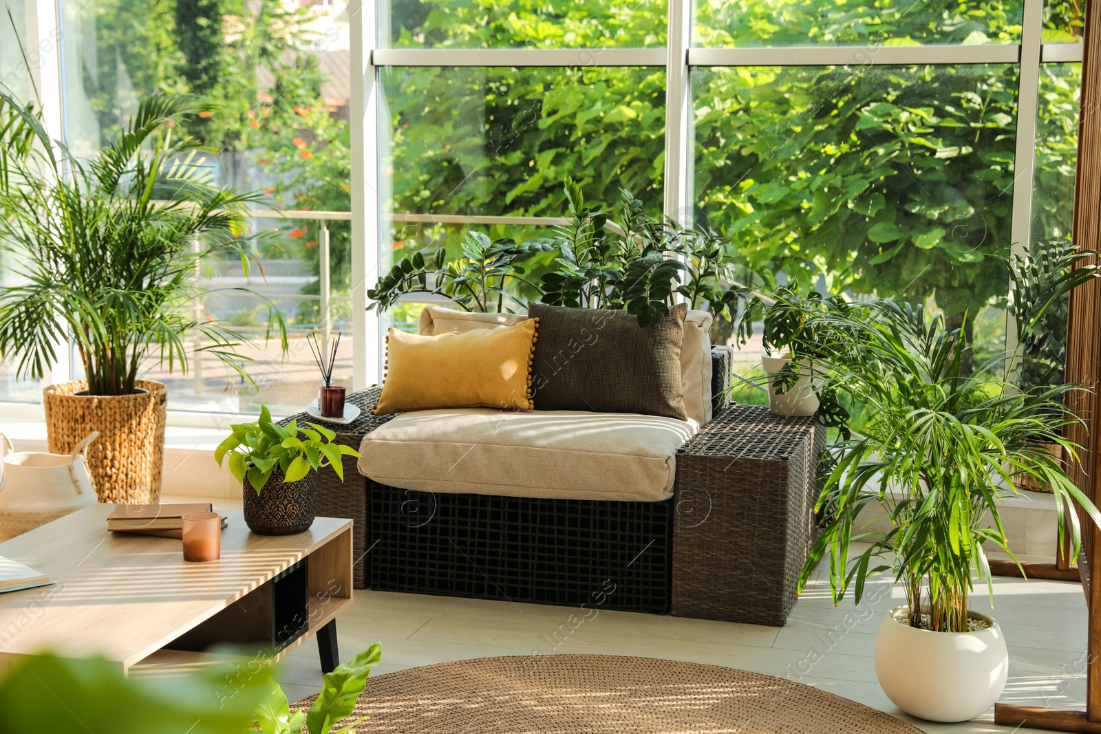 Photo of Indoor terrace interior with modern furniture and houseplants