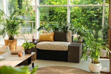 Indoor terrace interior with modern furniture and houseplants