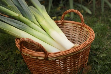 Photo of Fresh raw leeks in wicker basket on green grass outdoors, closeup