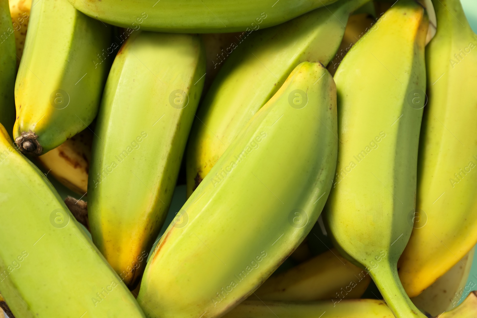 Photo of Delicious green pear bananas as background, top view