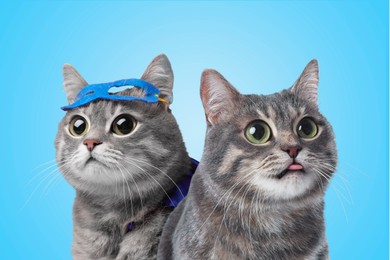Image of Cute surprised animals on light blue background. Tabby cats with big eyes