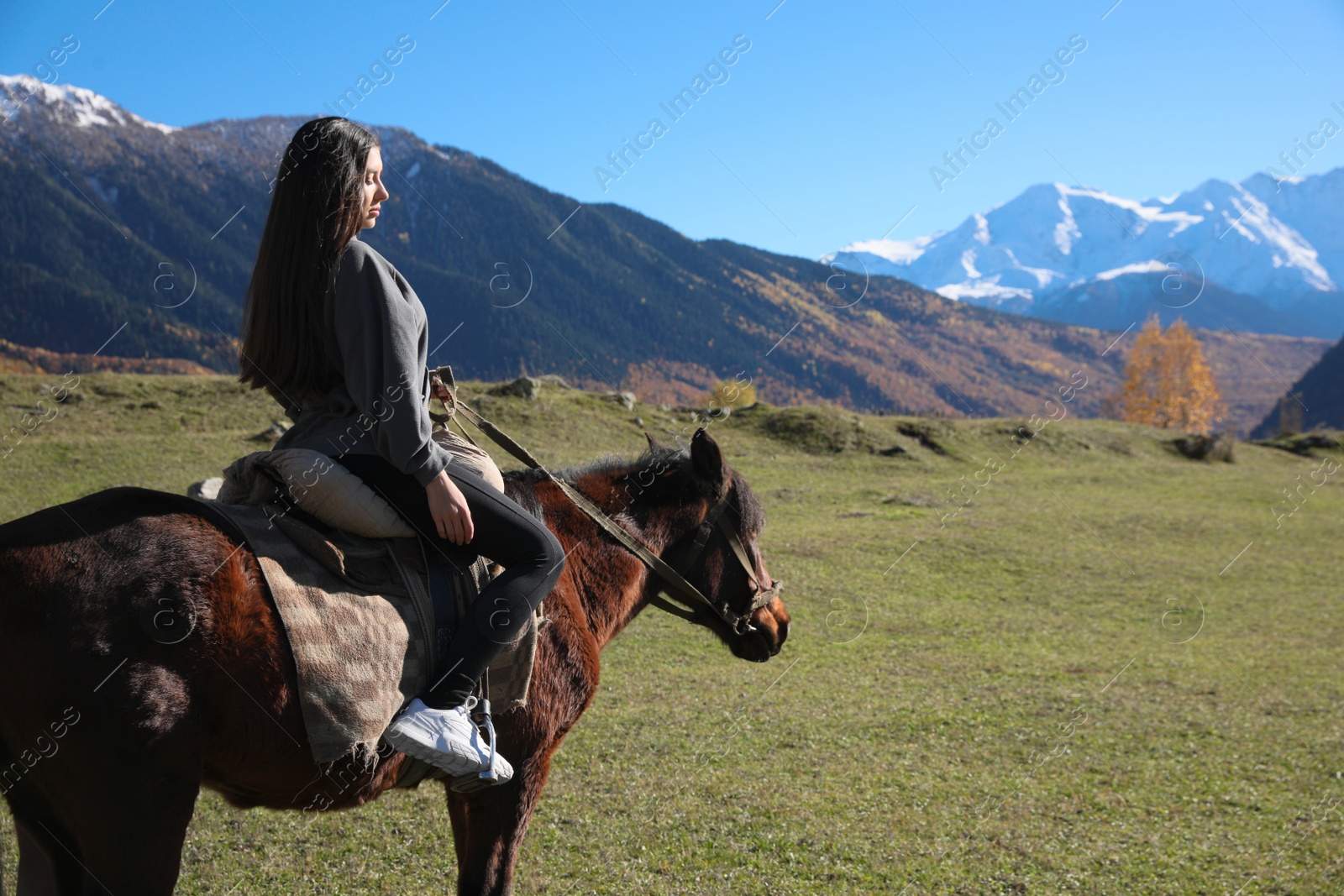 Photo of Young woman riding horse in mountains on sunny day. Beautiful pet