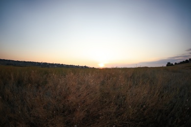 Beautiful view of field at sunrise. Early morning landscape