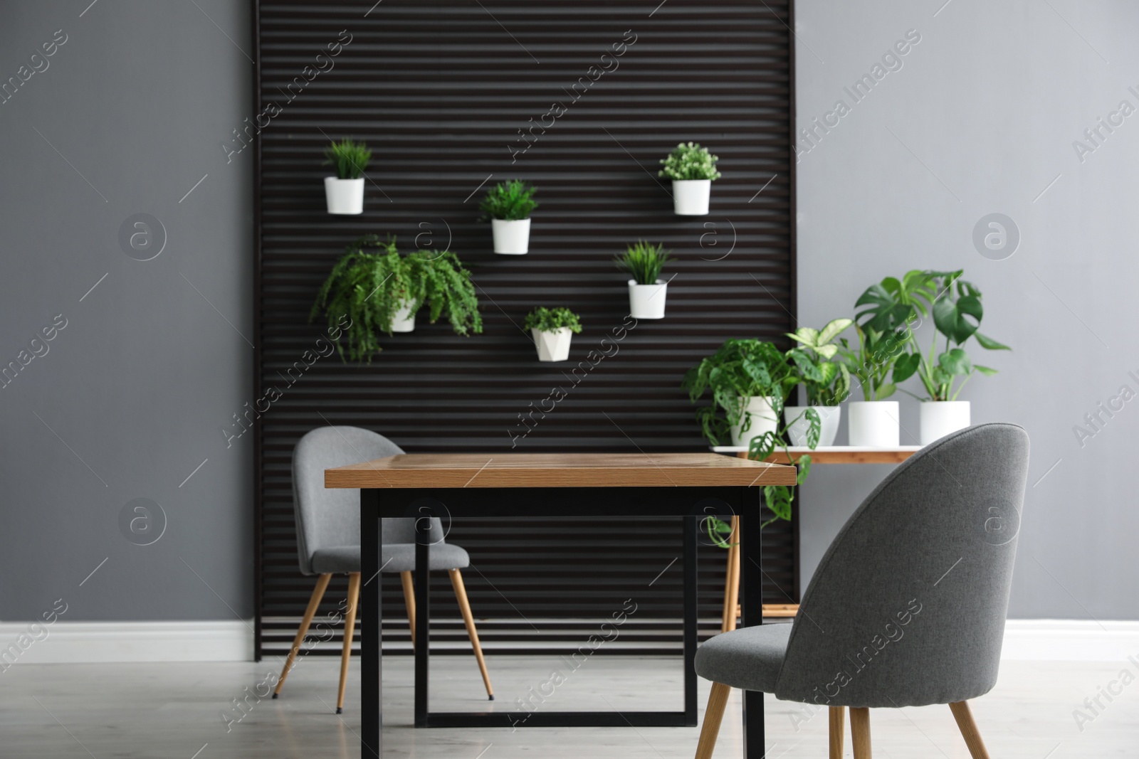 Photo of Stylish room with table, chairs and plants. Interior design