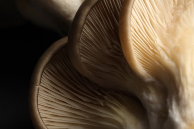 Photo of Fresh oyster mushrooms on dark background, macro view