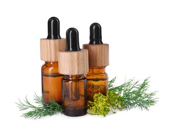 Bottles of essential oil and fresh dill isolated on white