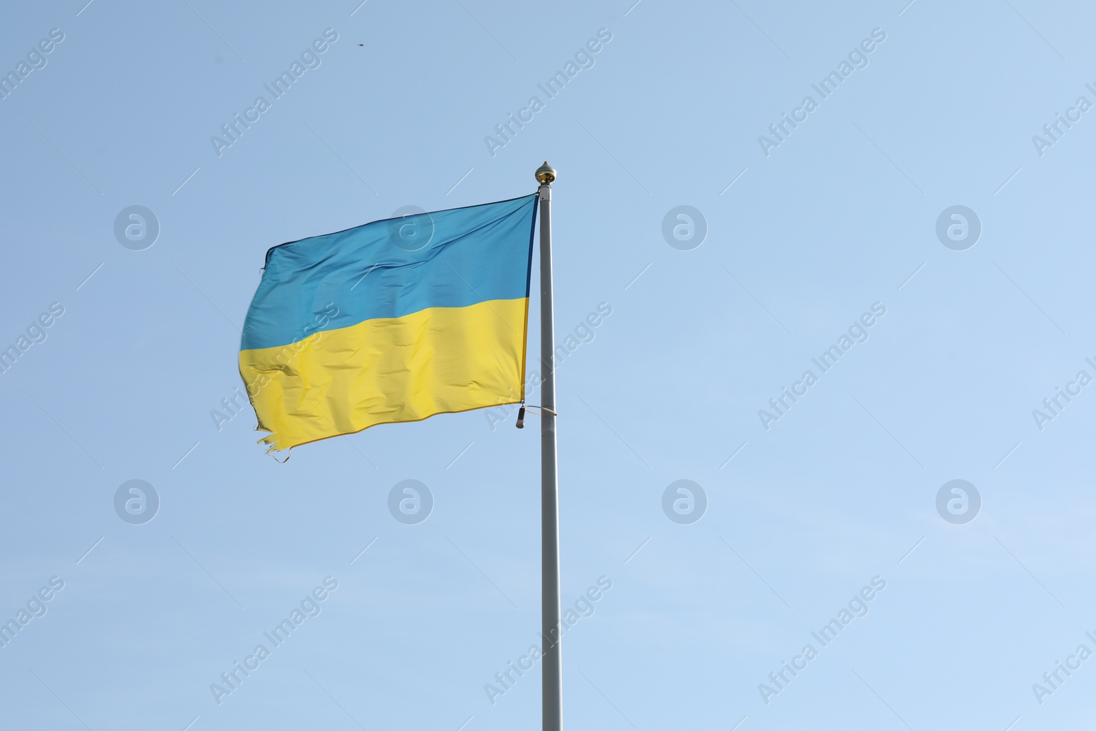 Photo of Flag of Ukraine waving on pole against blue sky