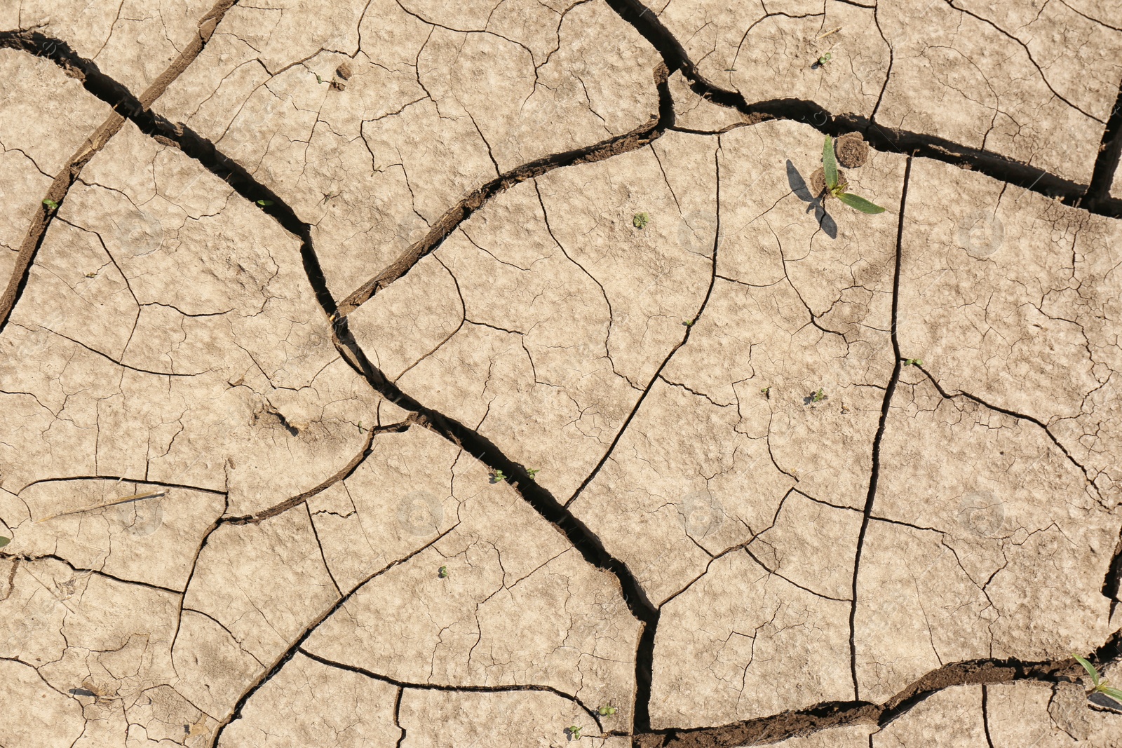 Photo of Cracked ground surface as background, top view