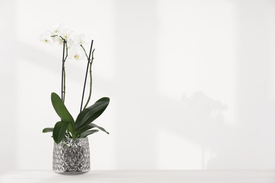 Blooming orchid flower in pot on white table near wall, space for text