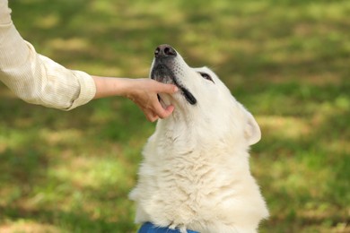 Photo of Young woman with her white Swiss Shepherd dog in park, closeup