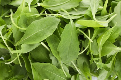 Photo of Many fresh arugula leaves as background, closeup