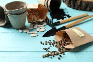 Vegetable seeds and gardening tools on light blue wooden table