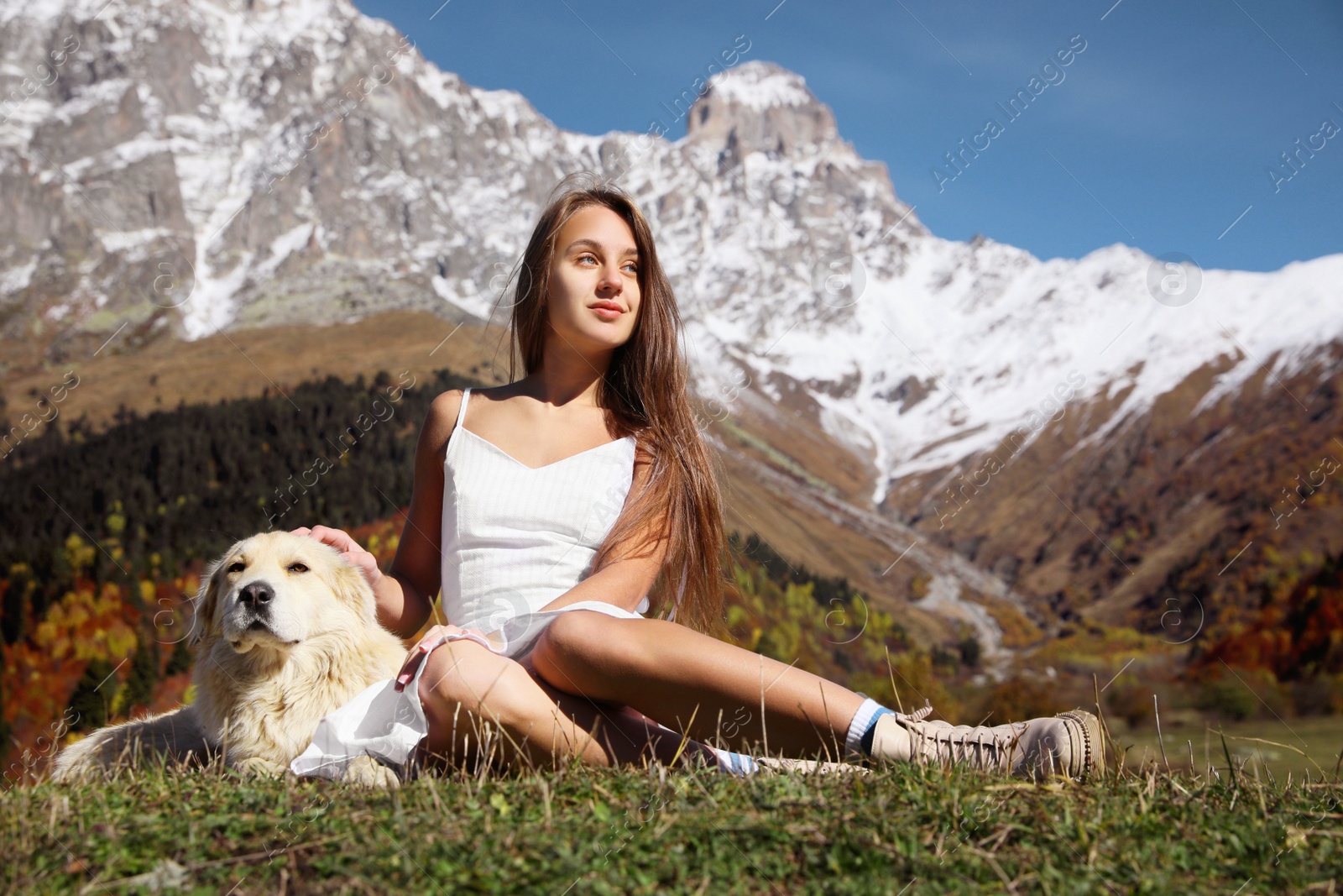 Photo of Beautiful young woman with adorable dog in mountains on sunny day