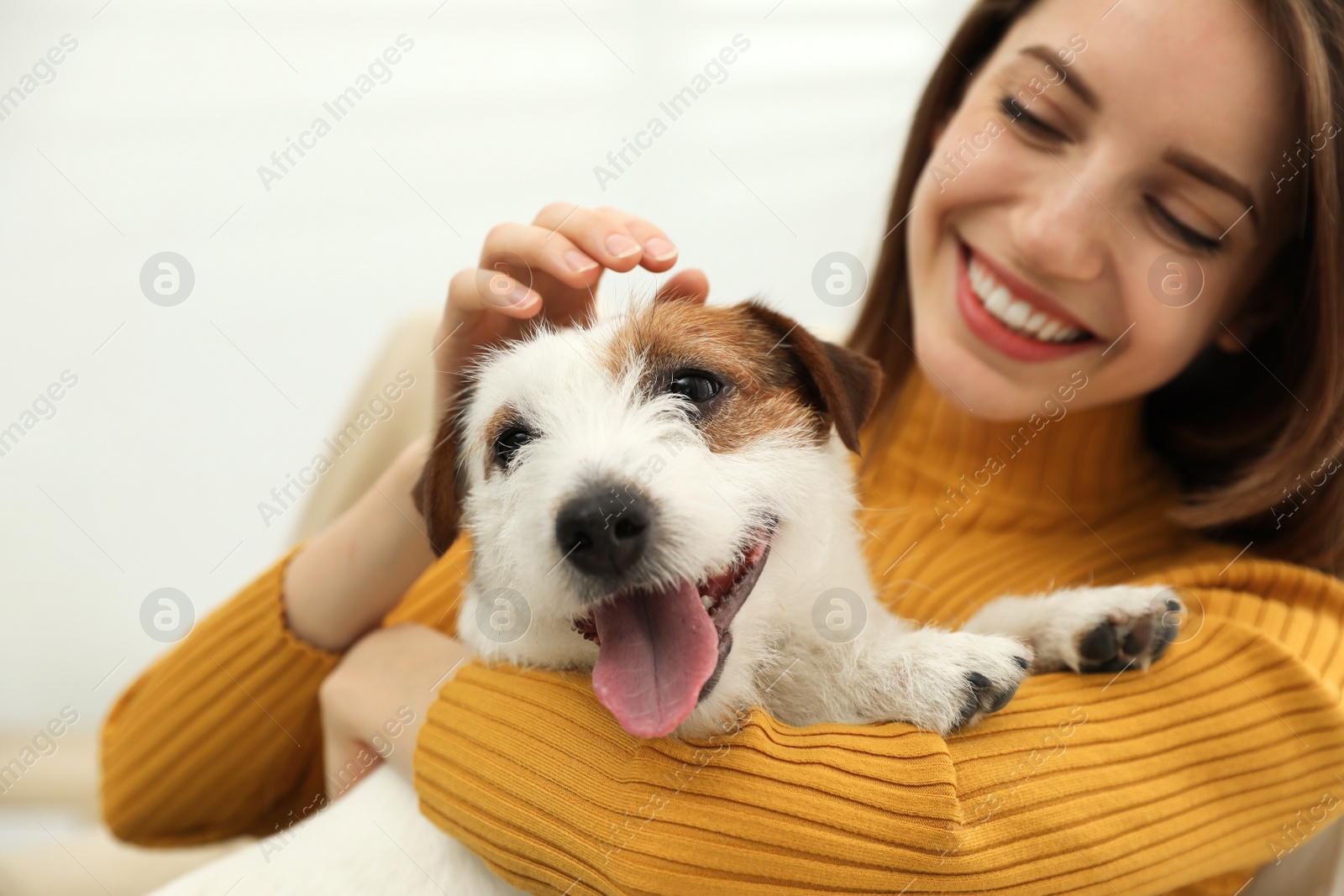 Photo of Young woman with her cute Jack Russell Terrier at home, closeup. Lovely pet