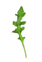 Photo of Leaf of fresh arugula isolated on white