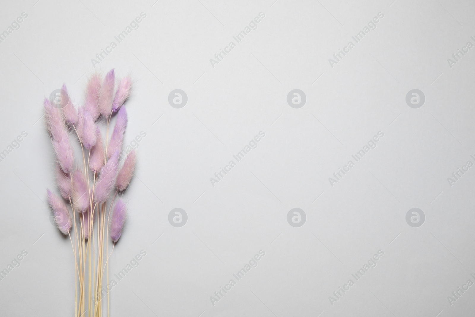 Photo of Bouquet of dried flowers on light grey background, flat lay. Space for text