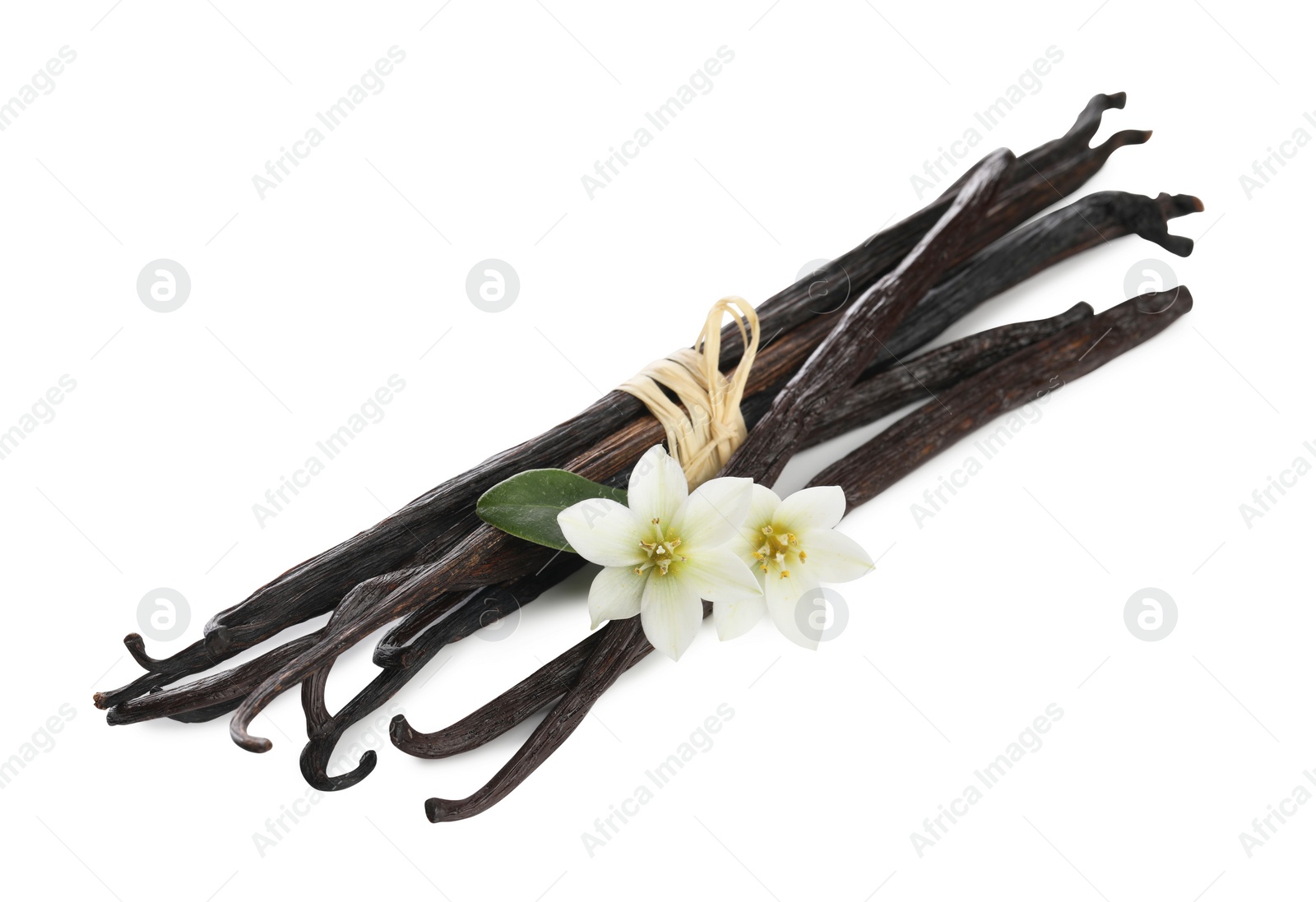 Photo of Vanilla pods, green leaf and flowers isolated on white