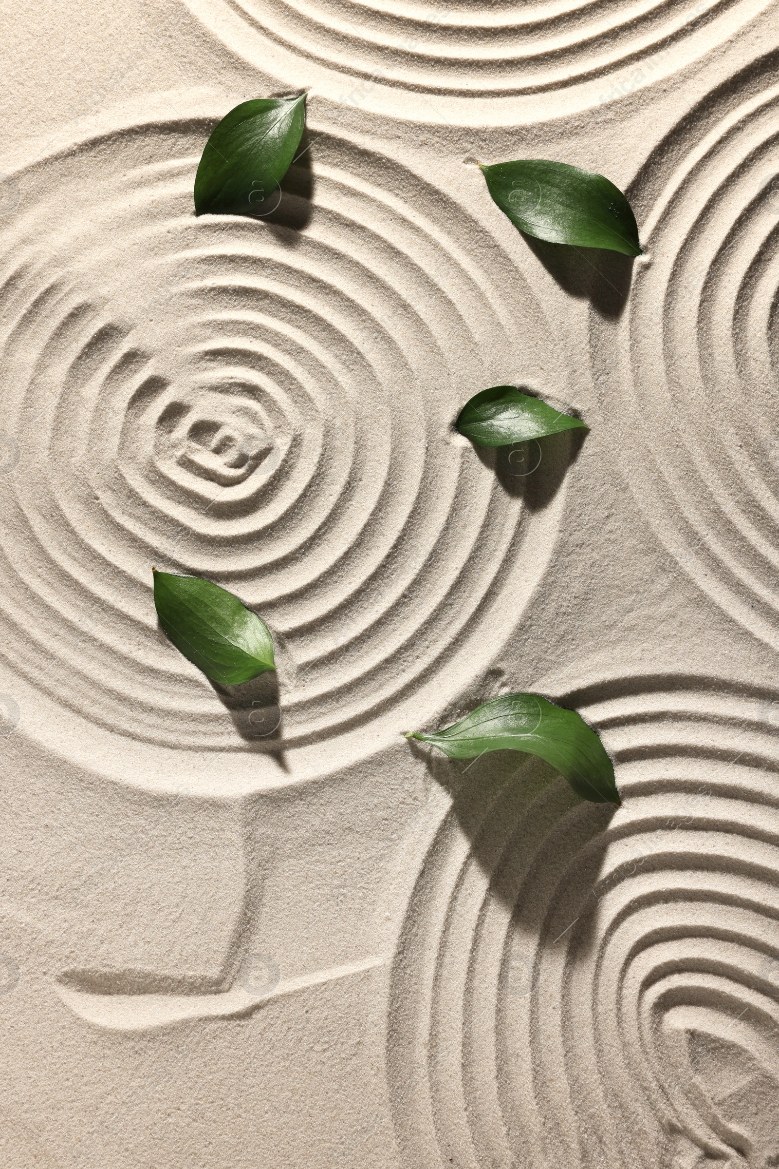 Photo of Beautiful spirals and leaves on sand, top view. Zen garden