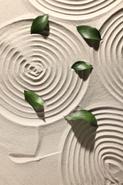 Beautiful spirals and leaves on sand, top view. Zen garden