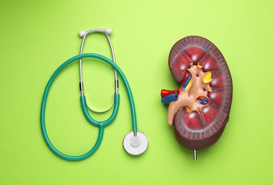 Photo of Kidney model and stethoscope on green background, flat lay